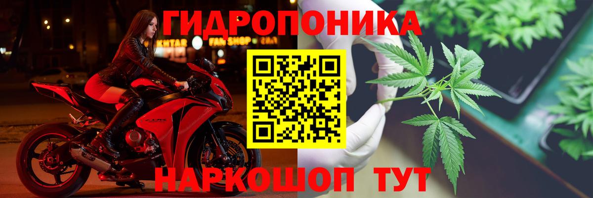Каннабис сатива  Бошки Шишки OG Kush  Славгород  Бошки марихуана Amnesia  Вход с VPN 